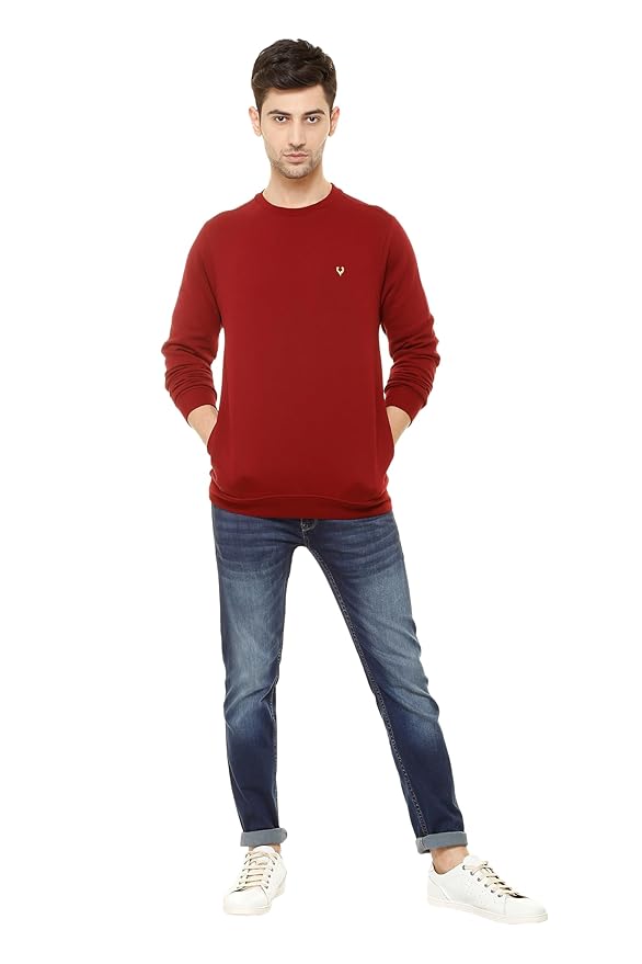 61LnzZOrLsL._SY879_ Allen Solly Men's Casual Crew Neck Sweatshirt